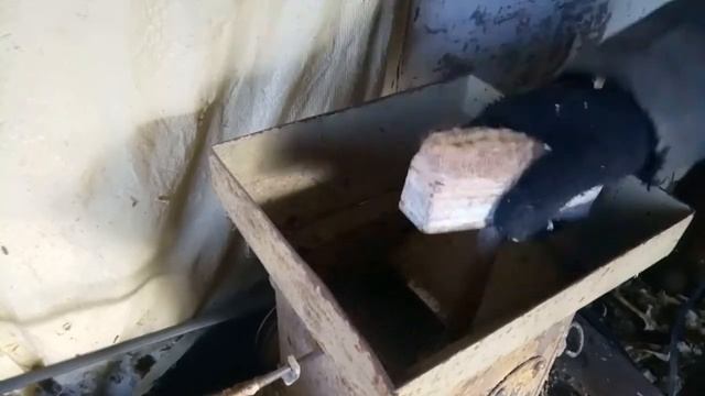 как быстро выбить подсолнух смотреть онлайн