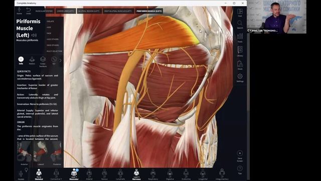 Станислав Черноног. Школа массажа