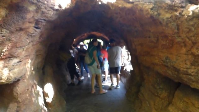 ВЛОГ: Биопарк Валенсия. Стоит ли идти?! Bioparc Valencia. смотреть онлайн