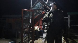 Как правильно поить кур несушек зимой.