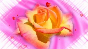 Футаж. Цветочный фон 105