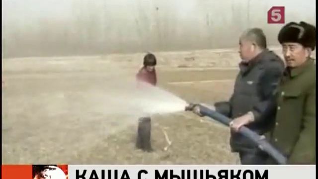 В кашах для малышей обнаружили мышьяк смотреть онлайн