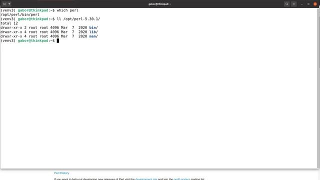 Perl Dancer Part 2: install Perl on Linux and Mac OSX смотреть онлайн