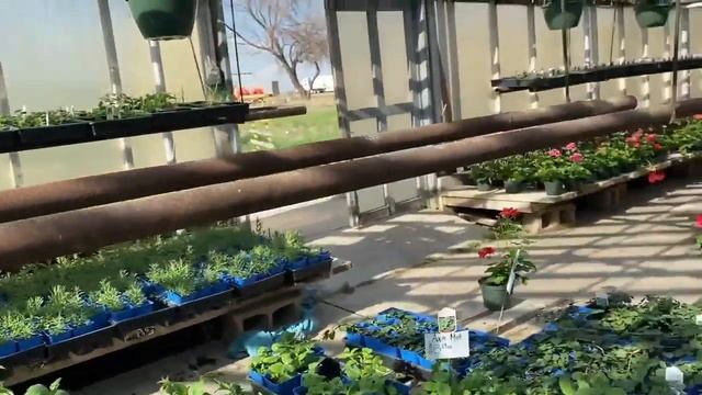 Places To Go In Lethbridge, Alberta! [Buhay Canada]︱WeTheDalags