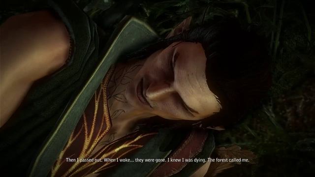 The Witcher 2 Assassins of Kings-Chapter 1-Find Cedric-Iorveth Path смотреть онлайн