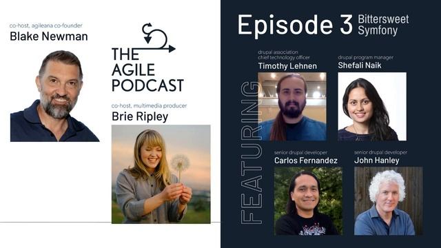 Episode 3: Bittersweet Symfony смотреть онлайн