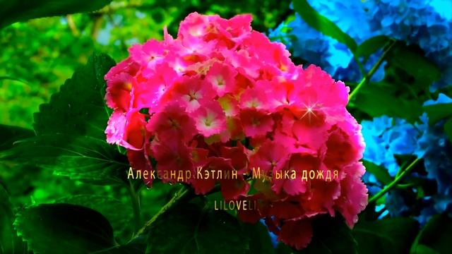 Александр Кэтлин - Музыка дождя смотреть онлайн