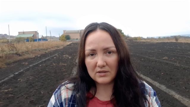 Как посадить крыжовник по шпалерной технологии смотреть онлайн