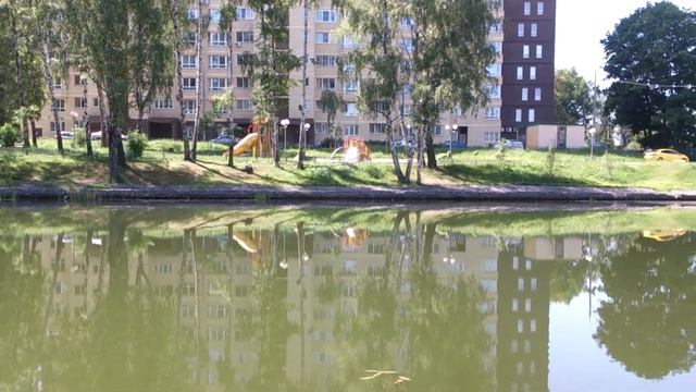 Комиссаровский пруд на улице Набережная в городе Мытищи смотреть онлайн