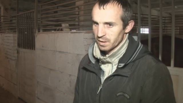 Коневодство Башкортостана теряет масштабность смотреть онлайн