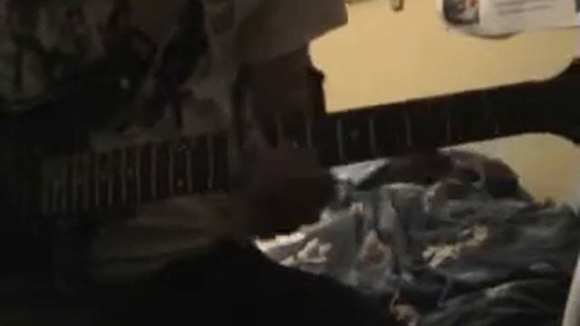 Anthony Shredding (Ibanez AX) смотреть онлайн