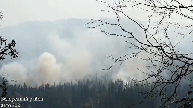 Берегите лес от пожара!!! смотреть онлайн