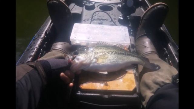 Jabass-viking profish reload kayak fishing смотреть онлайн