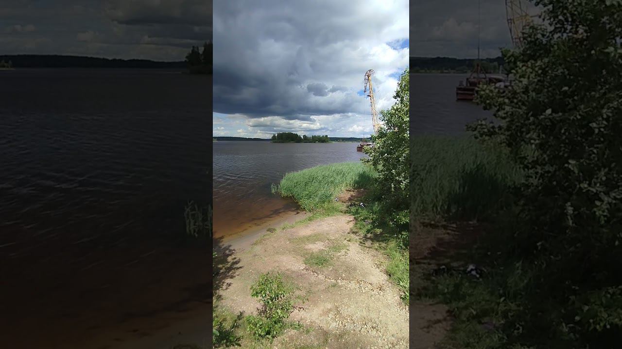 Приехали на Волгу половить на фидер. #shortvideo #fishing #рыбалка #fishingvideo смотреть онлайн