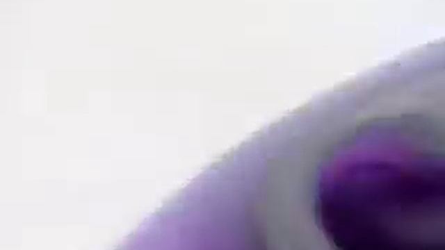 Apple Computer IMac G3 