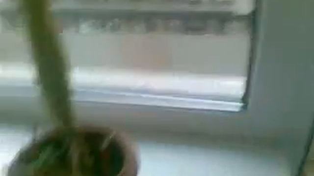 обыск и свидание ))))))