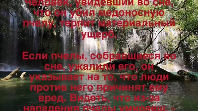 Видеть во сне медоносную пчелу смотреть онлайн