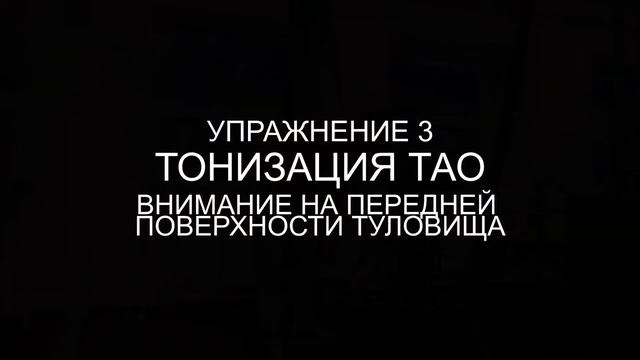Силовой ци-гун с Д. Дишанди. Введение 3 часть \ Тонизация Тао смотреть онлайн