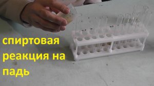 пытаюсь определить причину мартовских испражнений в улье