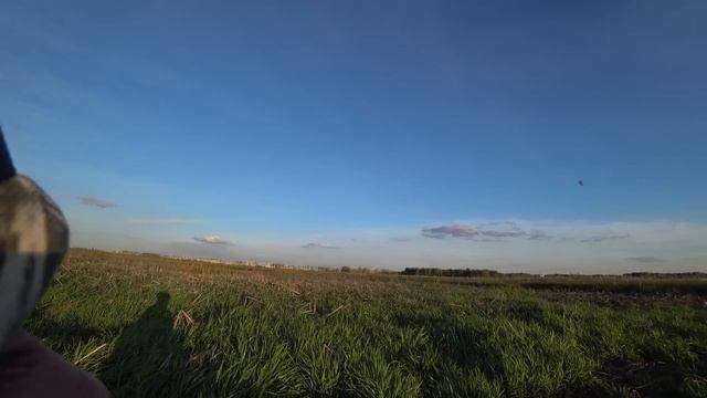 Охота на вяхиря 2022г +утка на перелёте!Duck_Hunting 2022. смотреть онлайн