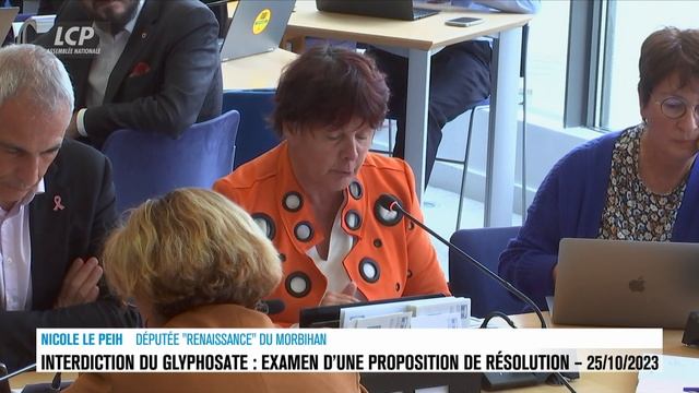 Glyphosate : proposition de résolution pour maintenir son interdiction - Delphine Batho - 25/10/202 смотреть онлайн