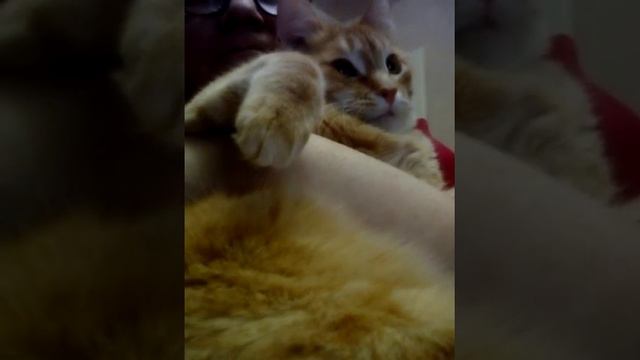 Кузьма: ох, держите меня семеро! смотреть онлайн