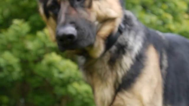 Panasonic Lumix G2 Test Footage