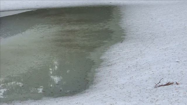 Пруд.Лед сходит. смотреть онлайн
