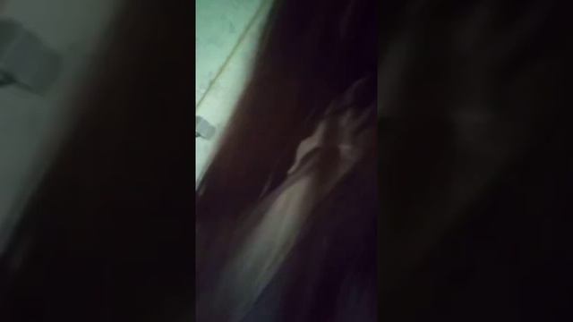 Василиса пушистый зайчик