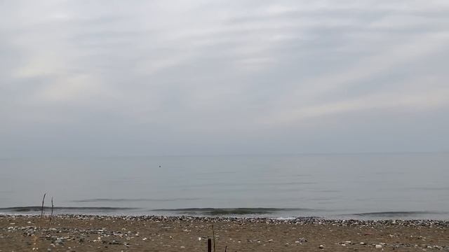 В гостях у Татьяны и Сергея \ Наши пенсионеры в Мерсине смотреть онлайн