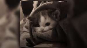 мы - возможно (speed up)