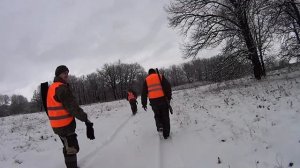 Охота на косулю в России. Коллективная, загонная охота на копытного зверя.