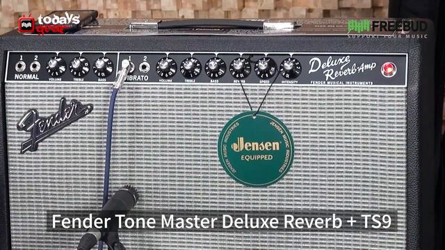 진공관앰프를 재현한 디지털 앰프!! Fender 기타앰프 Tonemaster Deluxe Reverb #투데이스기어 #todaysgear #펜더앰프 #프리버드 #디럭스리버브 смотреть онлайн