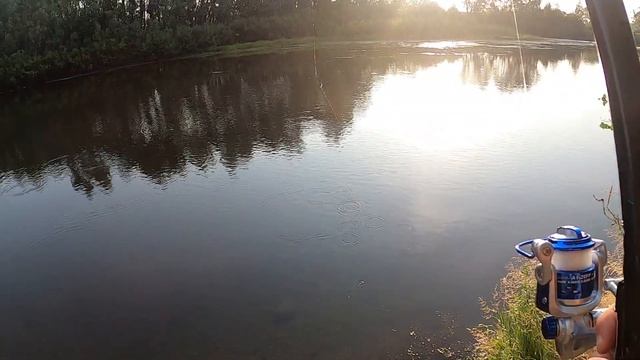 рыбалка с MIKADO Princess 600 смотреть онлайн