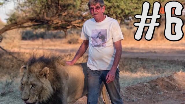 10 Смертельно опасных животных которые живут с человеком смотреть онлайн