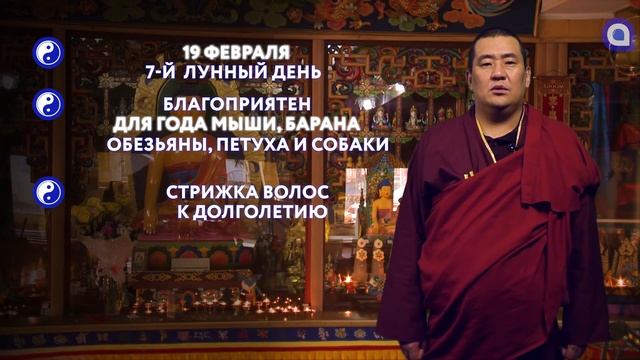 ЗУРХАЙ на 19 февраля смотреть онлайн