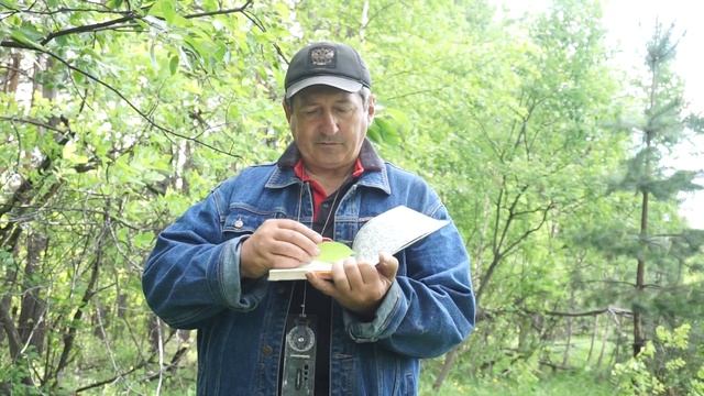 Простые и сложные листья смотреть онлайн