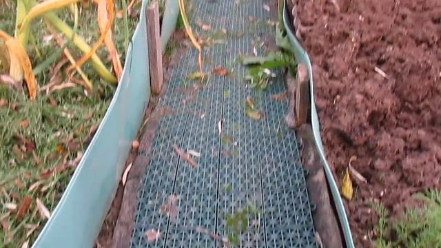 КАК И ИЗ ЧЕГО у меня СДЕЛАНЫ КРАСИВЫЕ ДОРОЖКИ МЕЖДУ ГРЯДОК смотреть онлайн