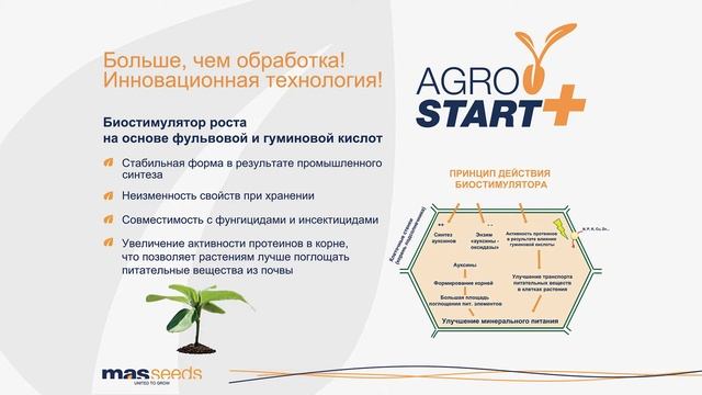 Agrostart Plus: эксклюзивная обработка семян подсолнечника и кукурузы от MAS Seeds смотреть онлайн