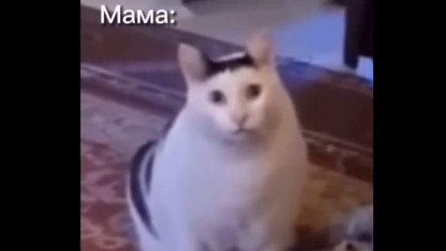 meme •|Прошу у мамы погулять до 11 часов ночи|• (не ориг) смотреть онлайн