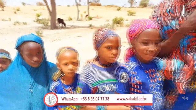 Puits №: 2991 (Niger) / Колодец №: 2991(Нигер) смотреть онлайн