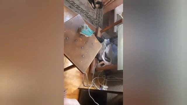 правильное содержание красноухих черепах. Чесалка. смотреть онлайн