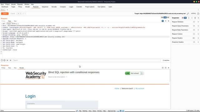 Blind SQL Injection - How Does It Work? смотреть онлайн