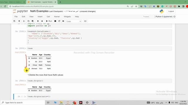 Manipulating DataFrames that have NaN values. смотреть онлайн