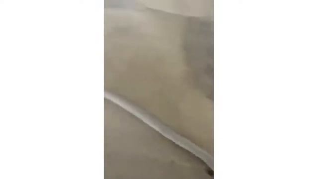 Промышленный пылесос для уборки зерновой пыли - пылесосы Дастпром - КИИТ смотреть онлайн