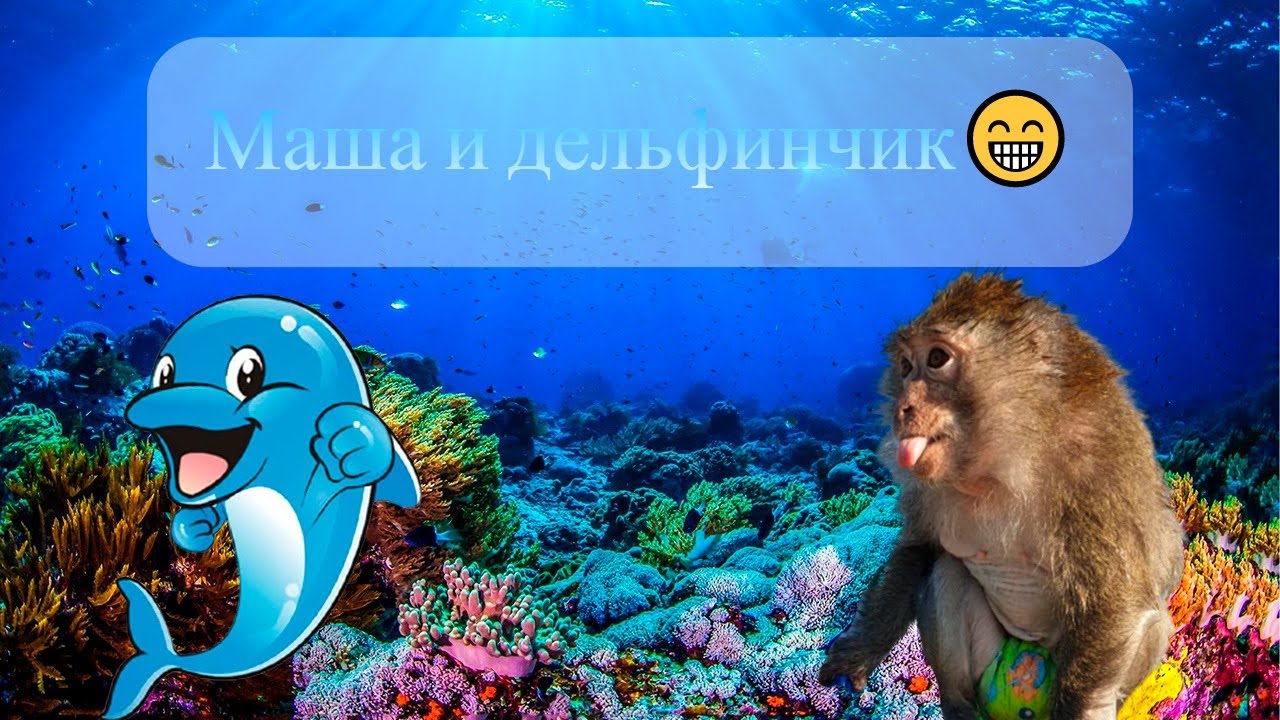 Маша принимает ванну (Домашние макаки) смотреть онлайн