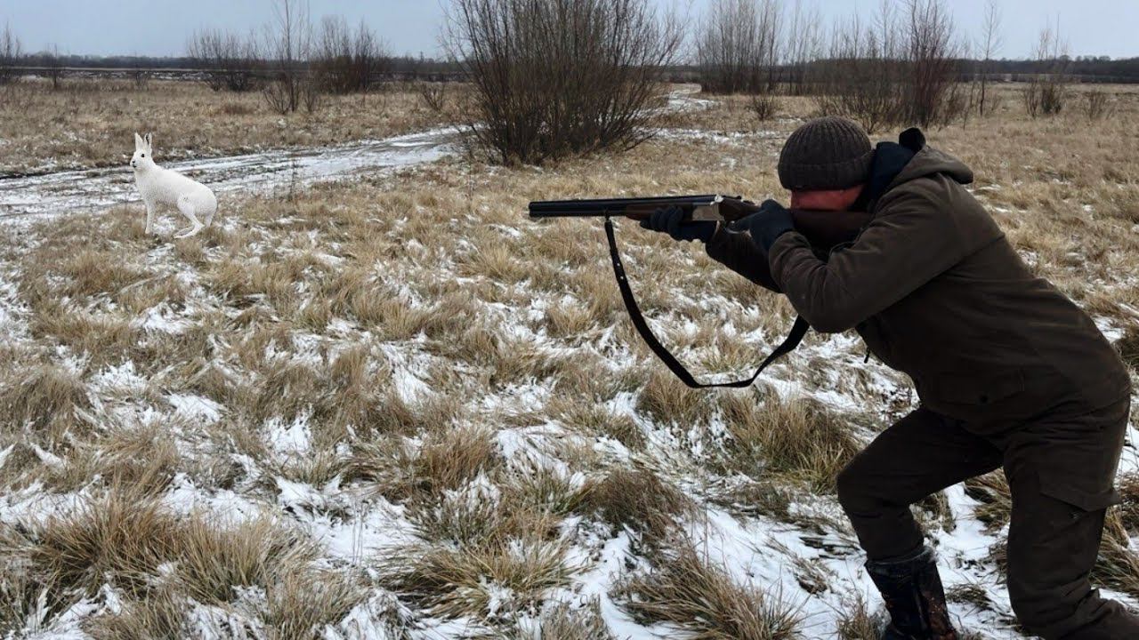 ТРОПЛЕНИЕ ЗАЙЦА!!!Охота по Снегу. смотреть онлайн