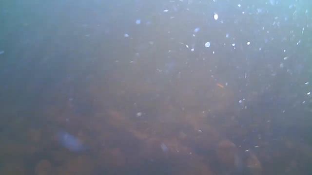 Семга летом под водой , 2022 год . Рыбалка на Кольском . смотреть онлайн