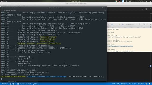 How to deploy Laravel 6 to Heroku with database mongodb | Part 1 смотреть онлайн