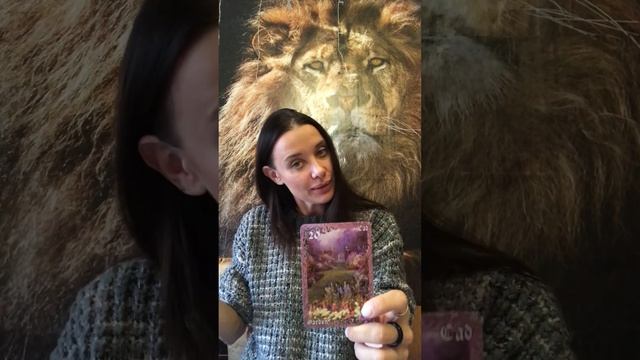 Значение карт «Сад» и «Гора» в колоде Ленорман. Подробное описание по сферам смотреть онлайн